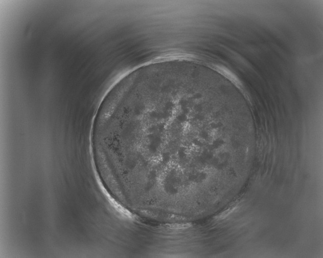 X0000059851055200511041834