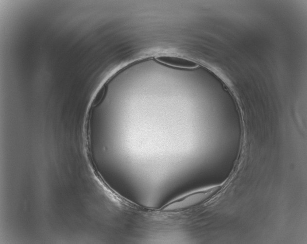 X0000059851056200511041834