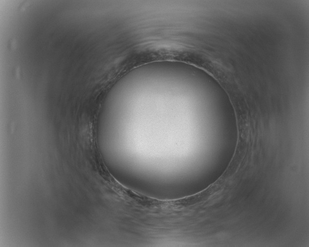 X0000059851061200511041833