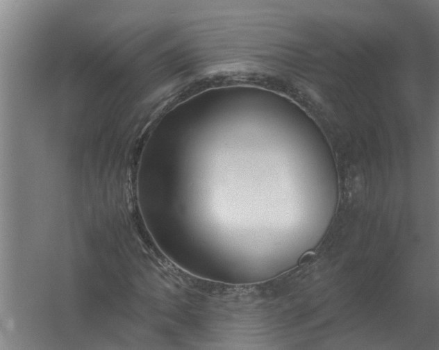 X0000059851062200511041833