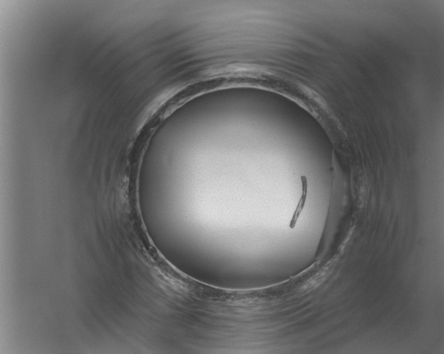 X0000059851066200511041833