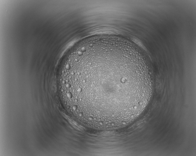 X0000059851067200511041833