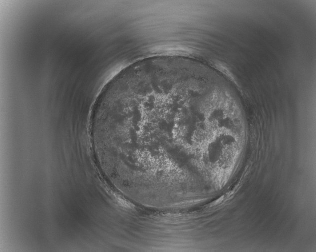 X0000059851071200511041833