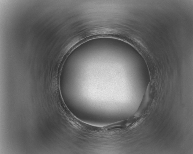 X0000059851073200511041833