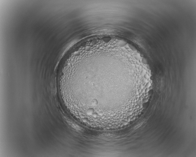 X0000059851075200511041833