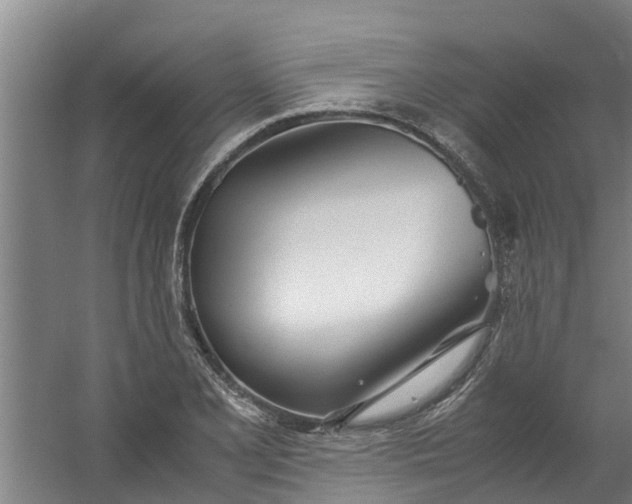 X0000059851077200511041833