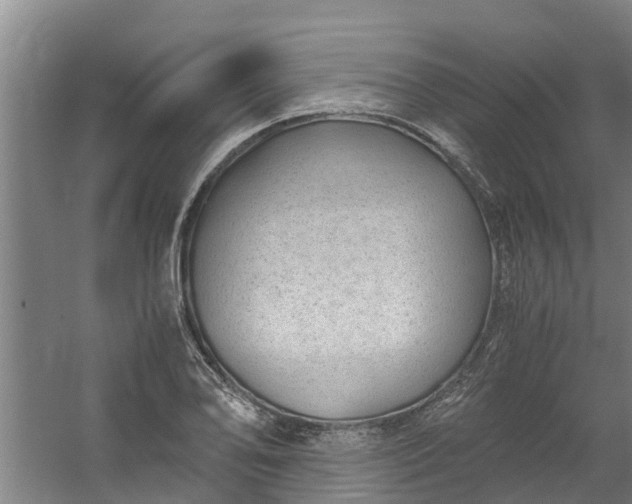 X0000059851078200511041833