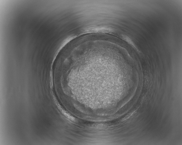 X0000059851079200511041833