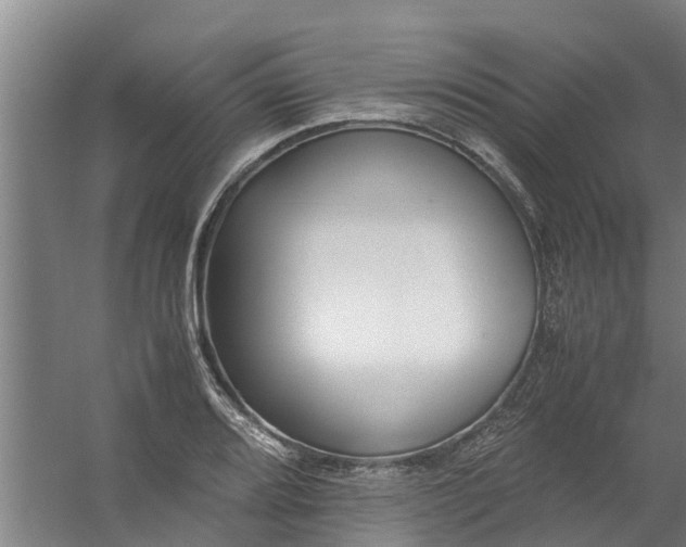 X0000059851080200511041833