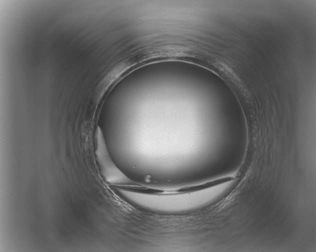 X0000059851081200511041833