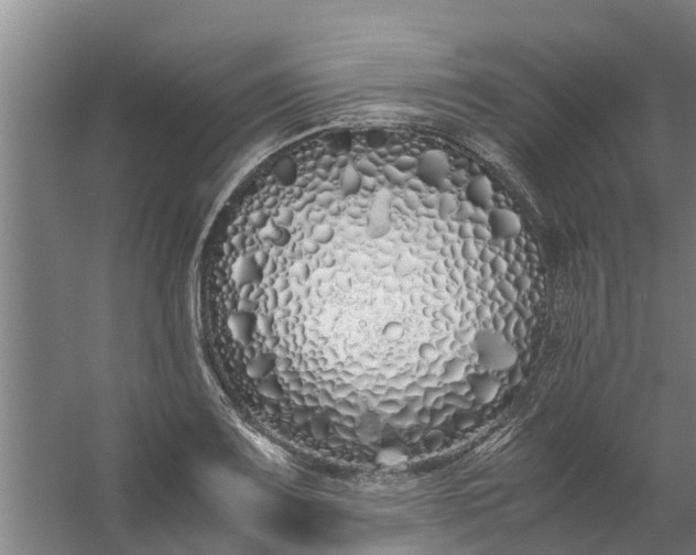 X0000059851083200511041833