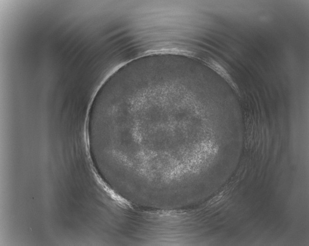 X0000059851084200511041833