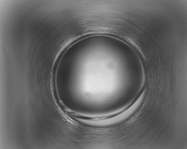 X0000059851085200511041833