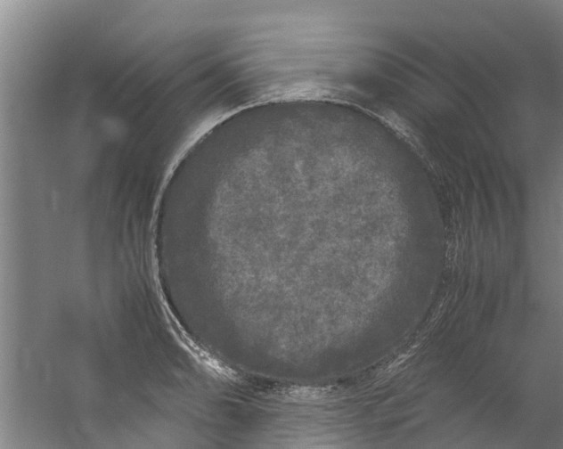 X0000059851086200511041833