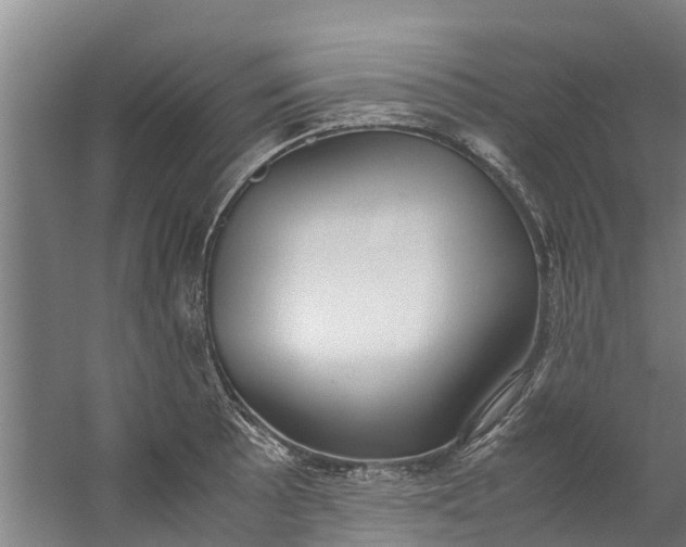 X0000059851089200511041833