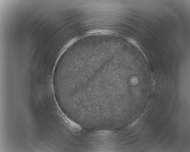 X0000059851090200511041833