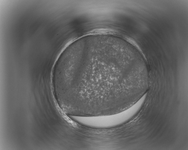 X0000059851091200511041833