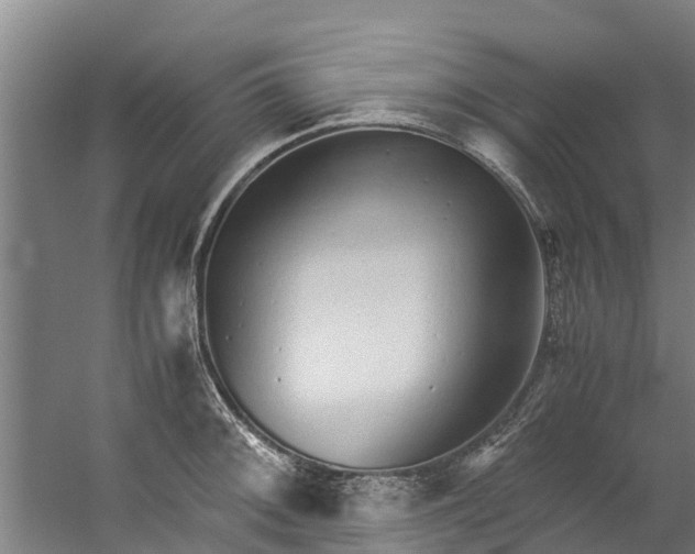 X0000059851092200511041833