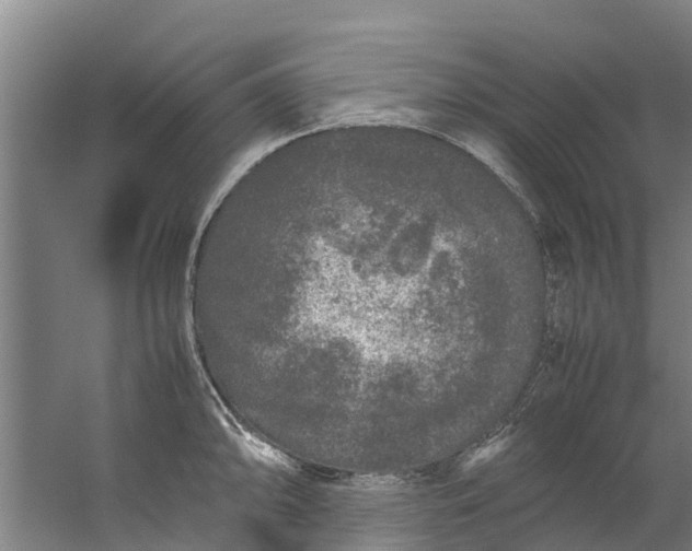 X0000059851094200511041833