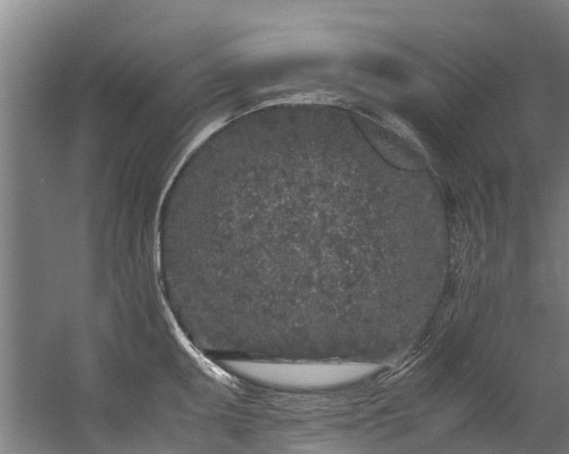 X0000059851095200511041833