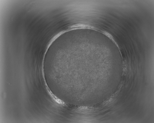 X0000059851098200511041833