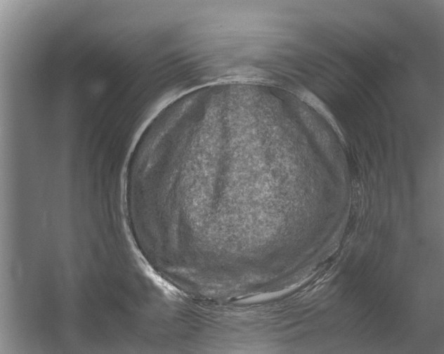 X0000059851099200511041833