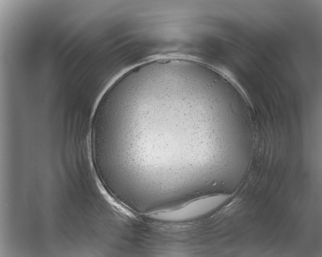 X0000059851100200511041833