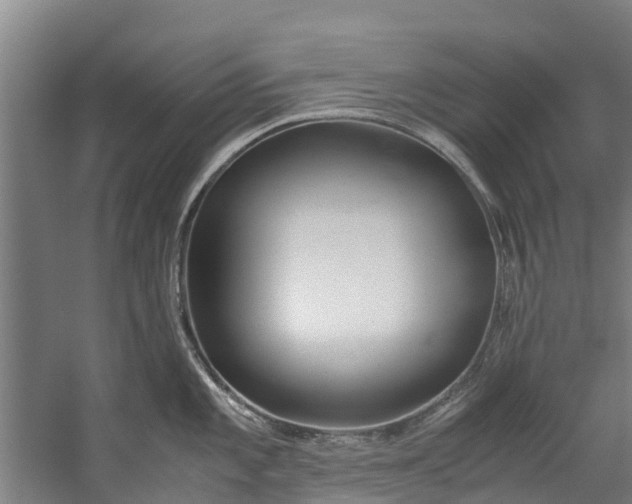 X0000059851101200511041833