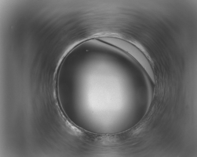 X0000059851102200511041833