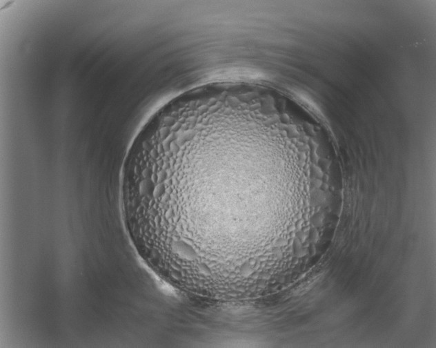 X0000059851103200511041833