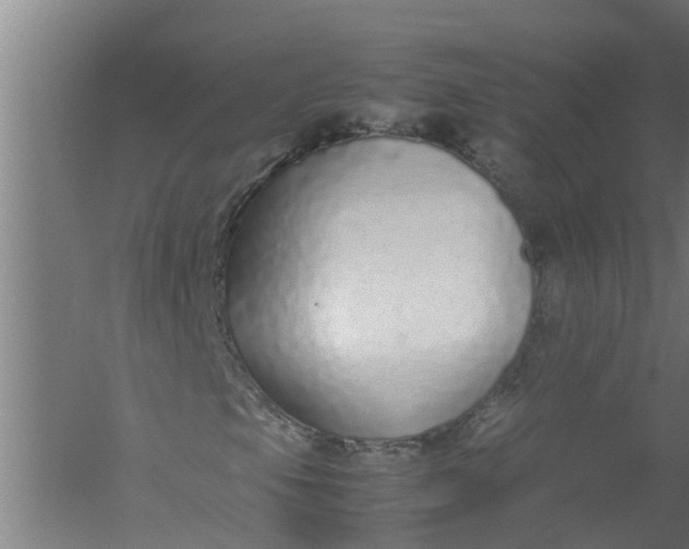 X0000059851105200511041832