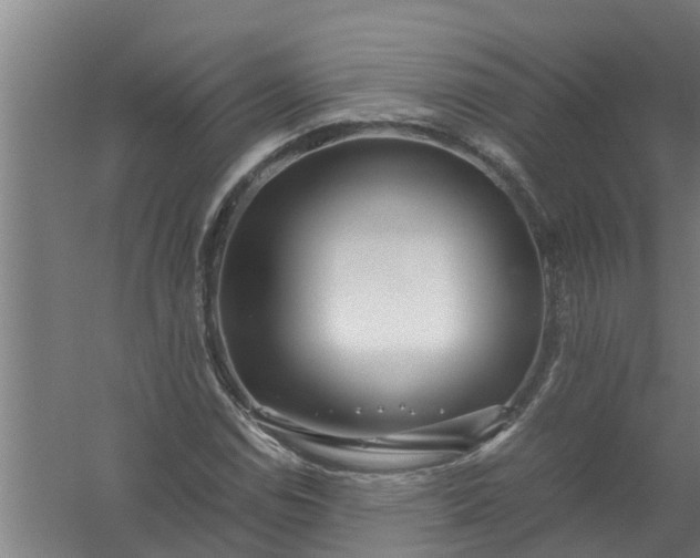 X0000059851114200511041832