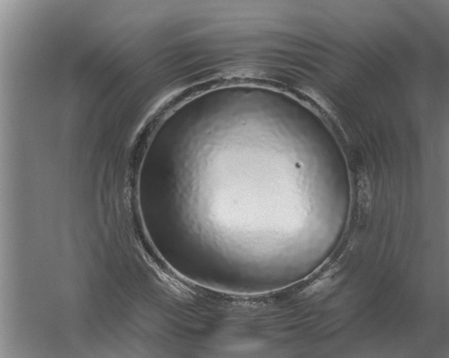 X0000059851115200511041832