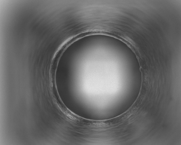 X0000059851120200511041832