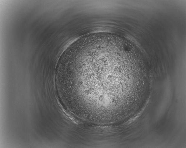 X0000059851121200511041832