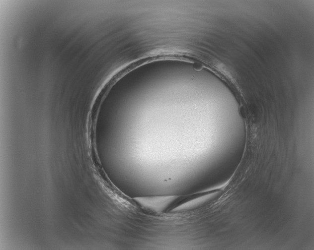 X0000059851124200511041832