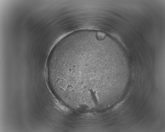 X0000059851125200511041832