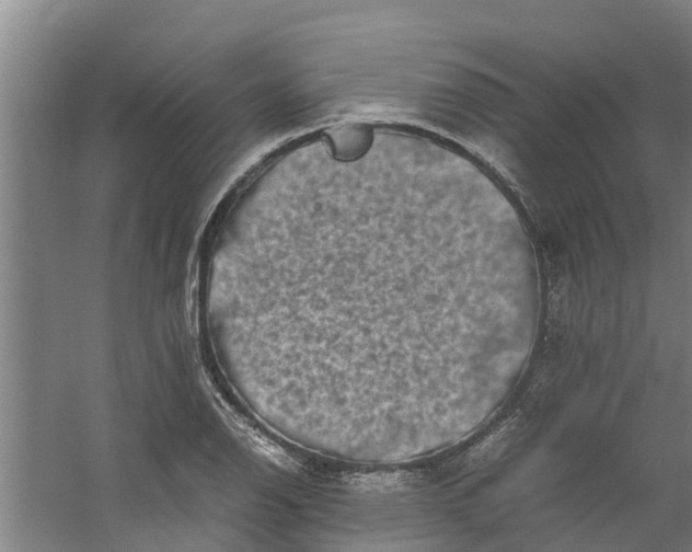 X0000059851126200511041832