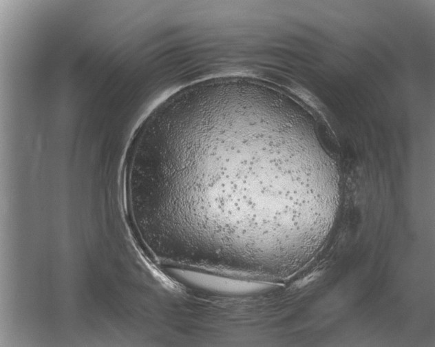 X0000059851127200511041832