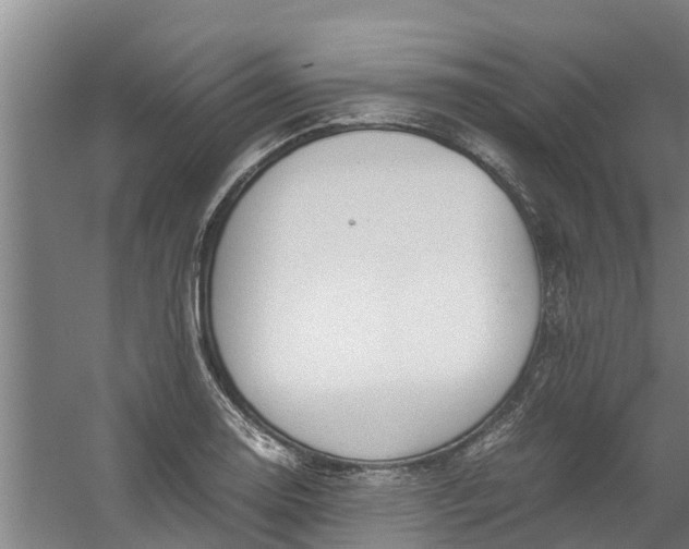 X0000059851130200511041832