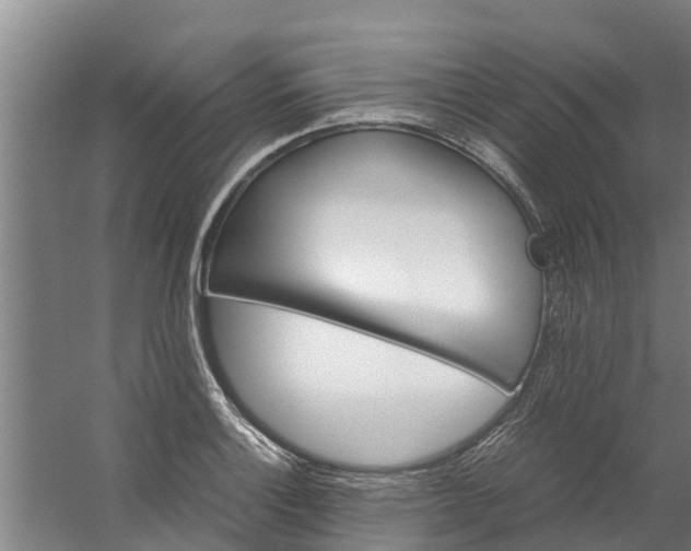 X0000059851132200511041832