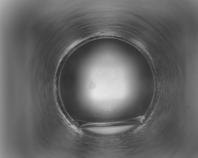 X0000059851133200511041832