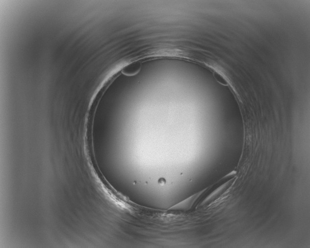 X0000059851139200511041832