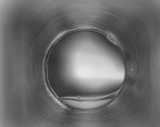 X0000059851142200511041832