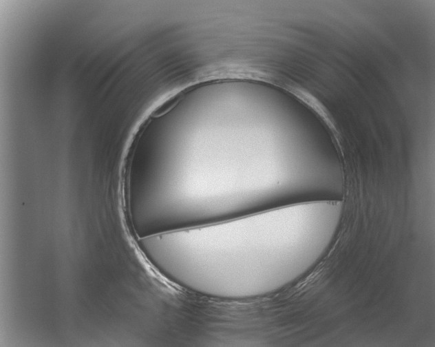 X0000059851144200511041832