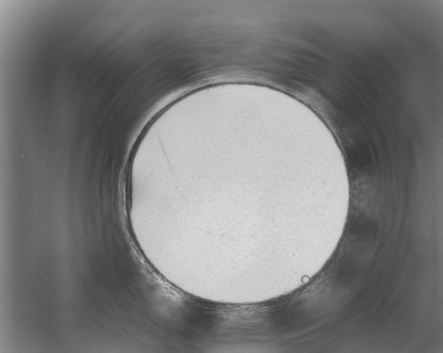 X0000059851150200511041833