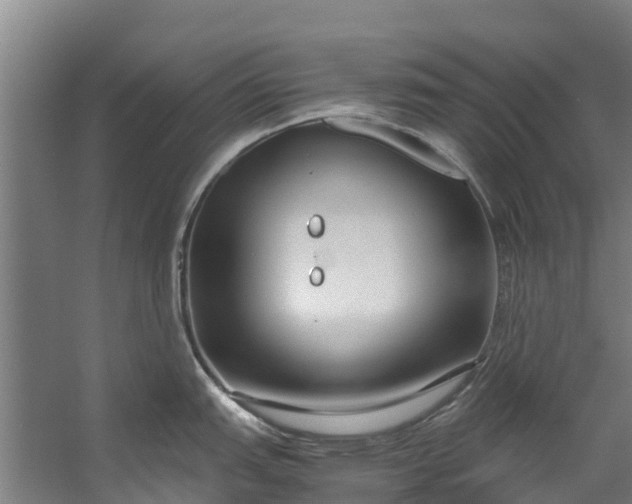 X0000059851151200511041833