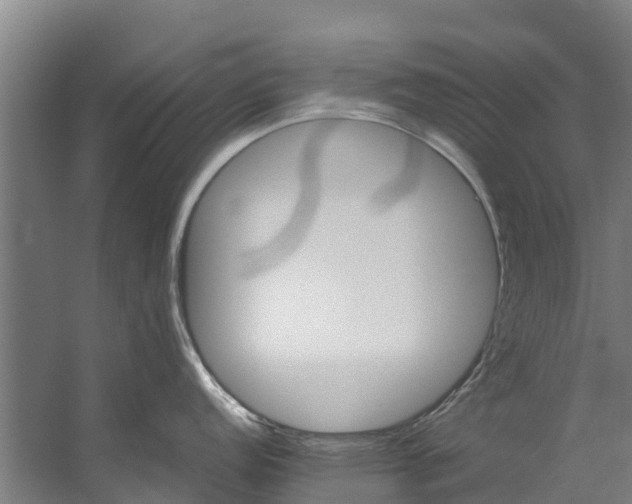 X0000059851152200511041833