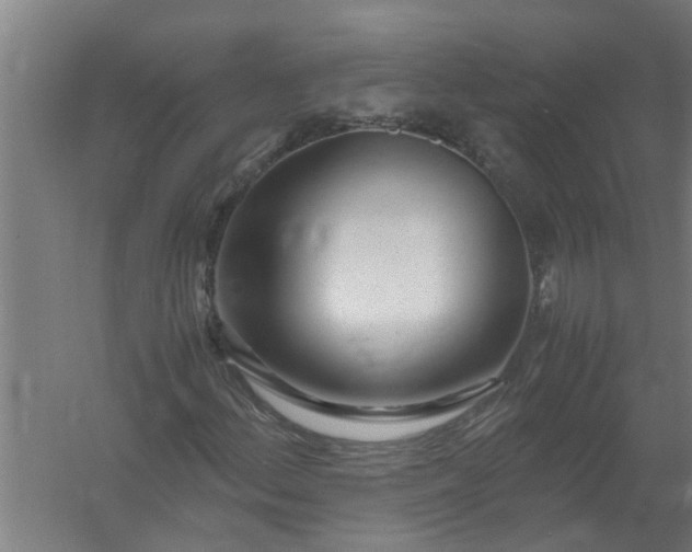 X0000059851156200511041832