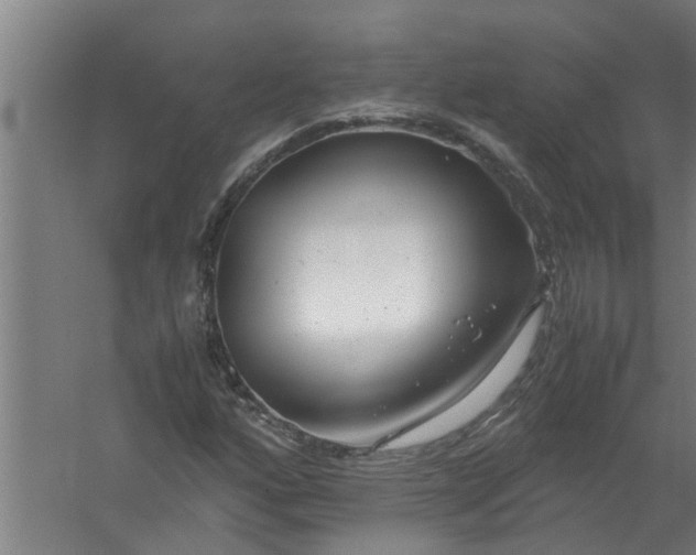 X0000059851160200511041832